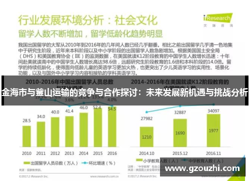 金海市与釜山运输的竞争与合作探讨：未来发展新机遇与挑战分析